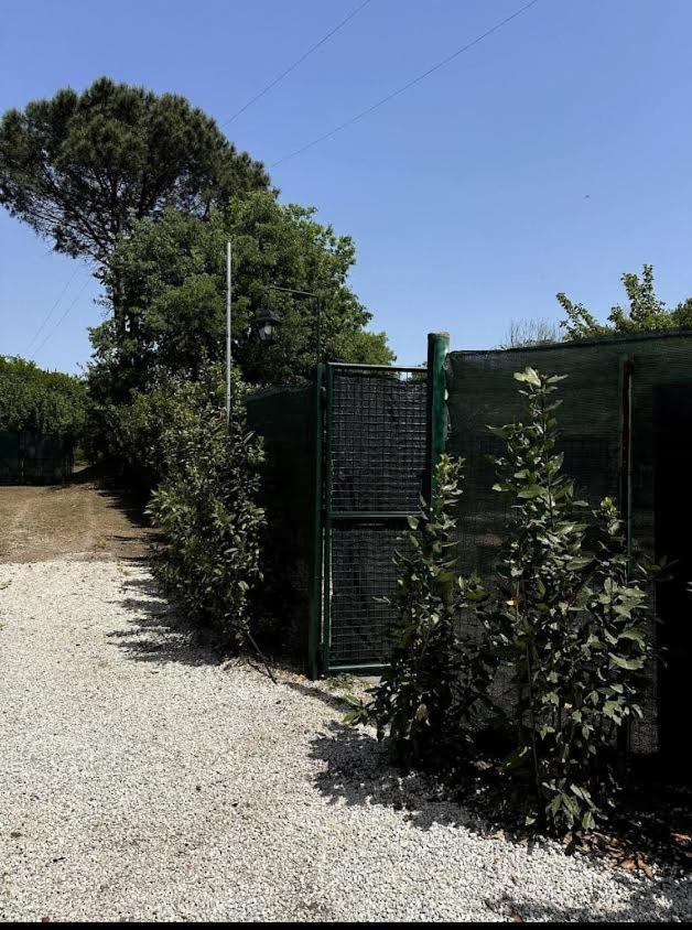 Holiday home Appia Antica Parcheggio E Giardino Fermata Bus 4 Ospiti *